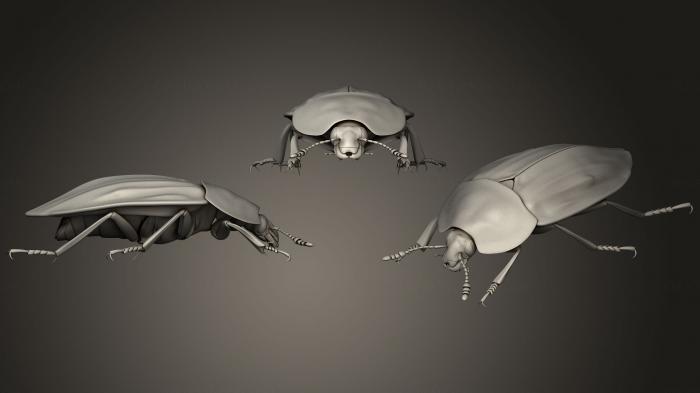 Insects (INSCT_0051) 3D model for CNC machine